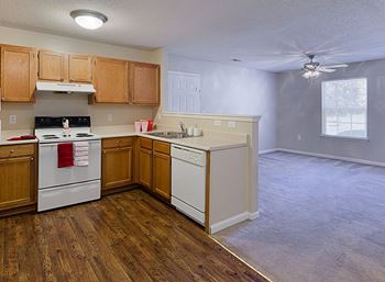 Kitchen and Living Room